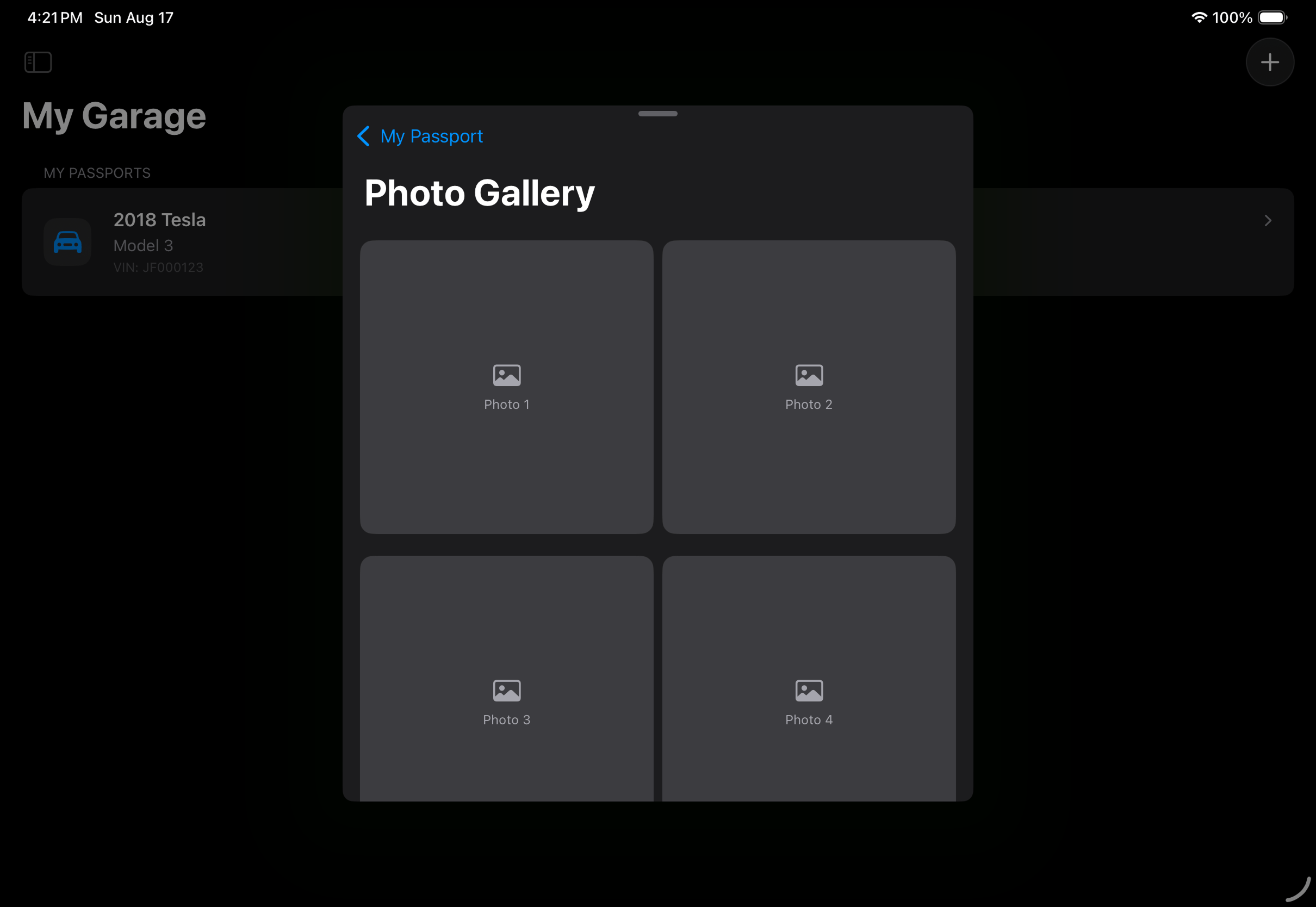 Photo Gallery sheet as rendered on iPad Pro 11-inch in landscape.