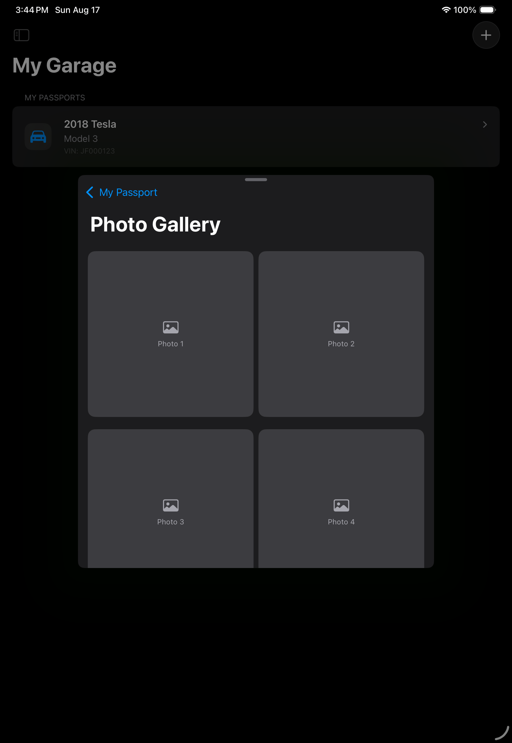 Photo Gallery sheet as rendered on iPad Pro 11-inch in portrait.